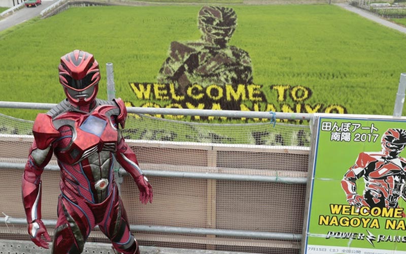 ทุ่งนา Red Ranger