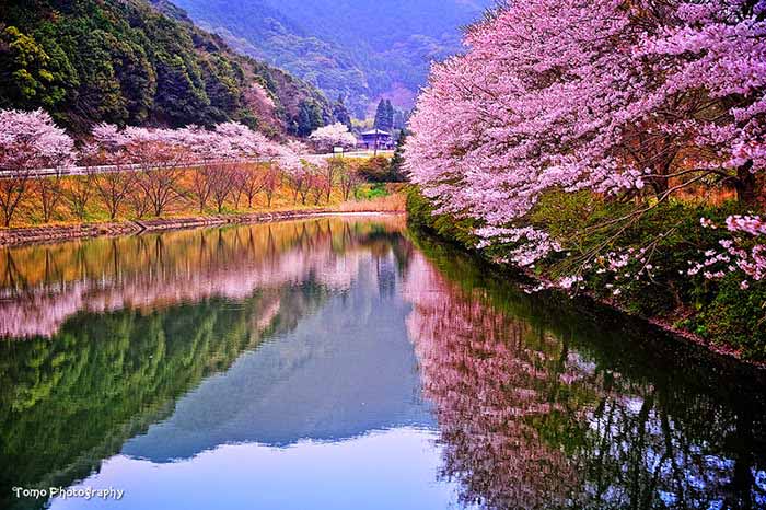 ปราสาทซากะ