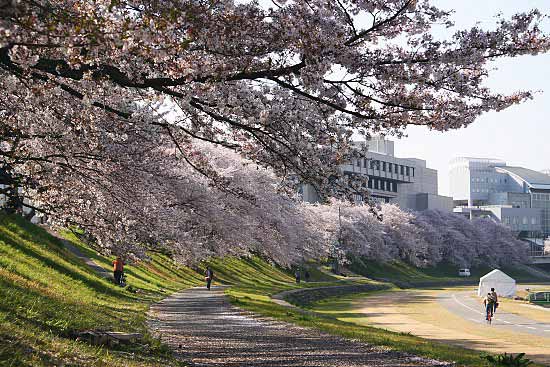 เมืองโอคายาม่า