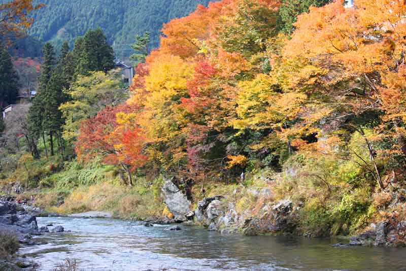 ภูเขามิตาเกะ