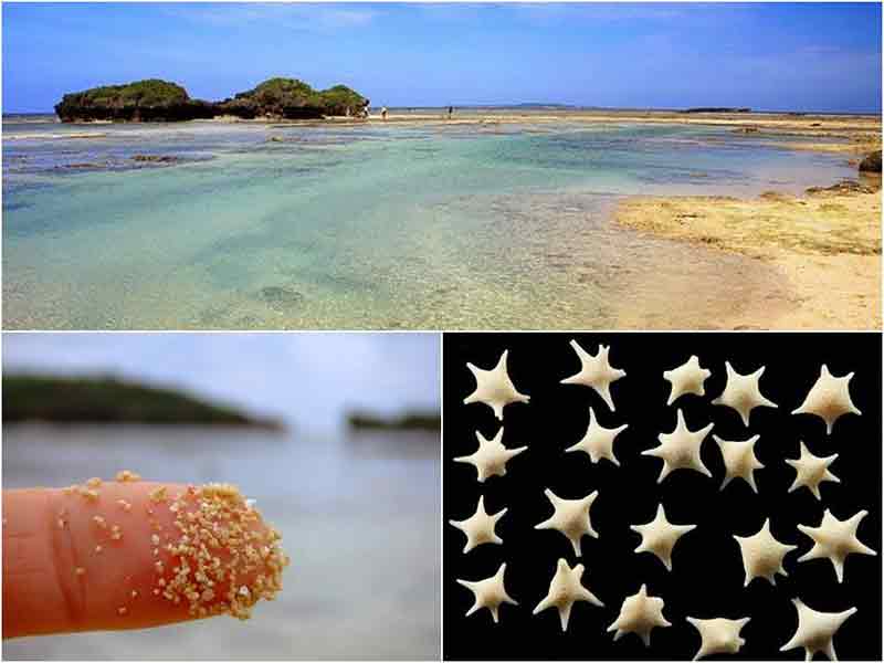 ชายหาดอินะซะ โนะ ฮะมะ