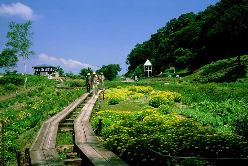เมืองนิงาตะ