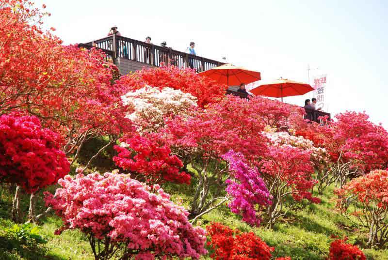 เมืองอิบารากิ