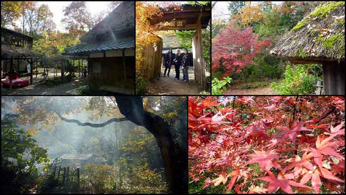 เมืองโคงะ