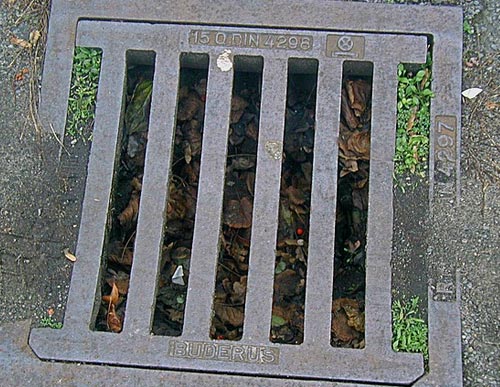 วิธีป้องกันงูและไล่งู