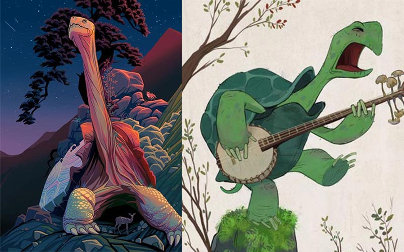 รูปการ์ตูนเต่า