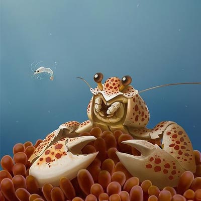รูปกุ้งการ์ตูน1