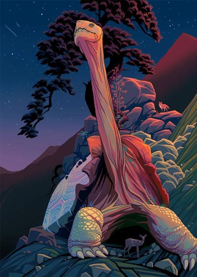 รูปการ์ตูนเต่า1