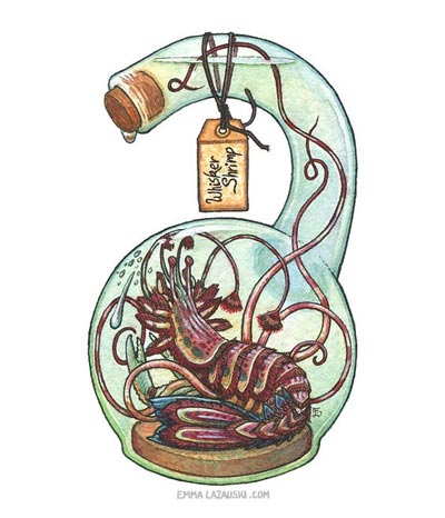 รูปการ์ตูนกุ้ง