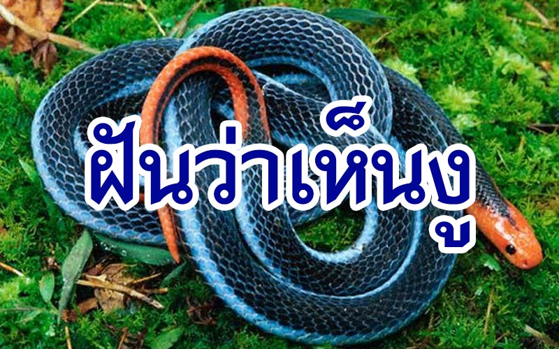 ฝันว่าเห็นงู