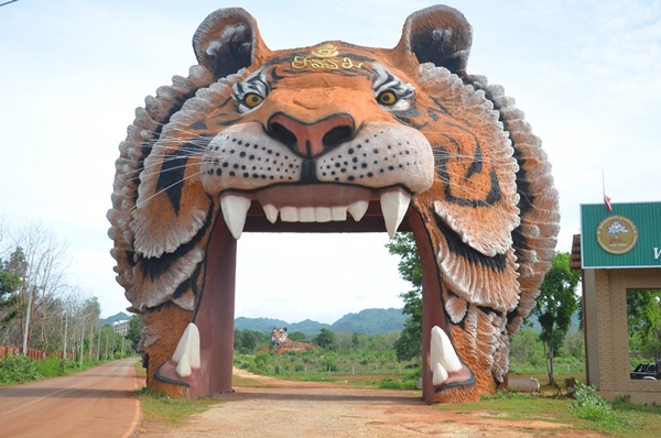 วัดป่าหลวงตาบัว ญาณสัมปัณโณ วัดเสือ