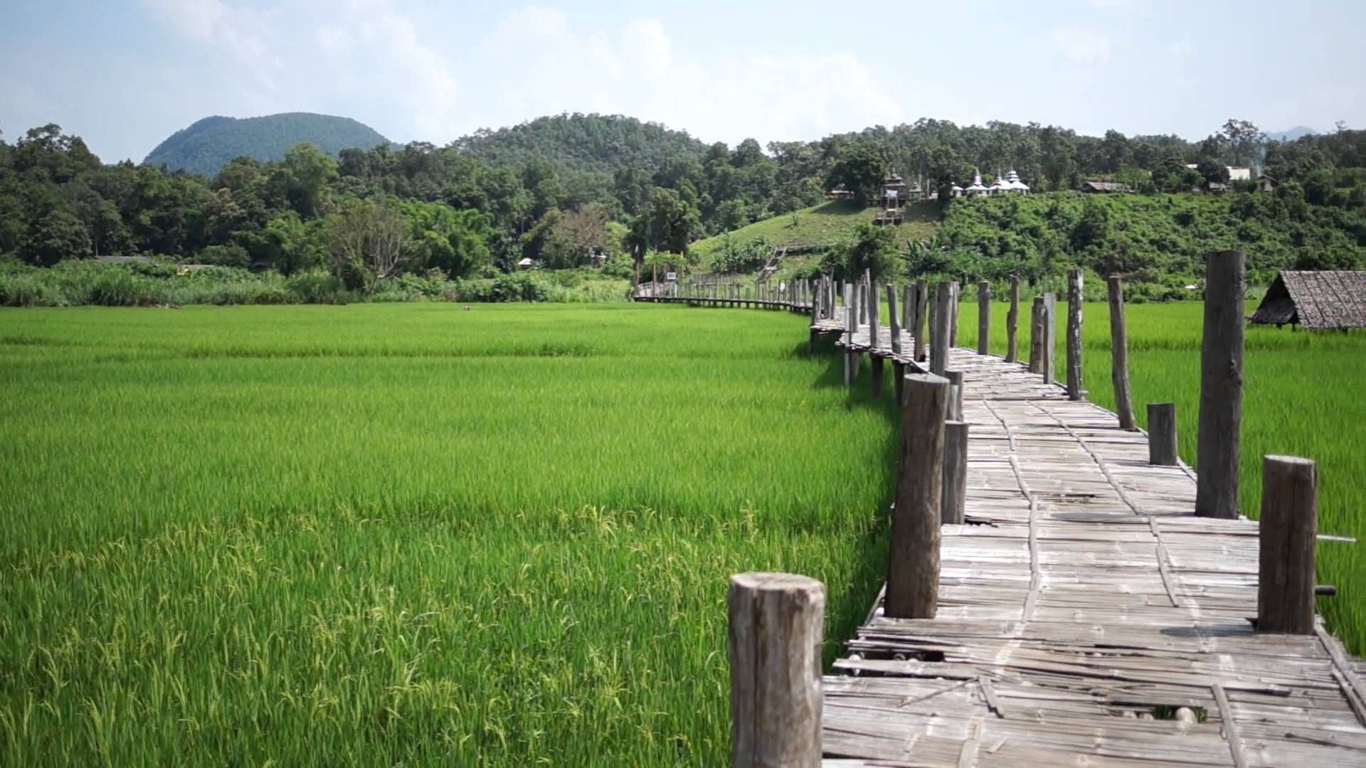 สะพานซูตองเป้