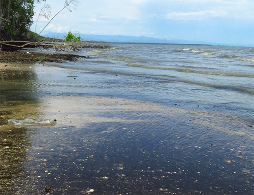 หาดทรายดำ
