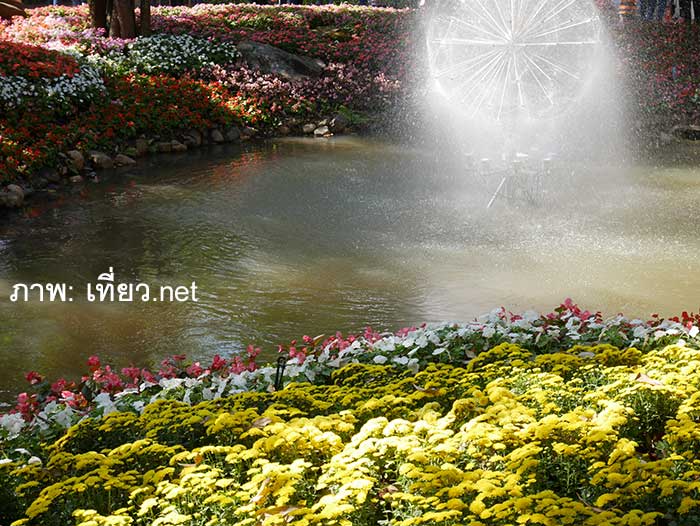 เทศกาลเชียงรายดอกไม้บาน